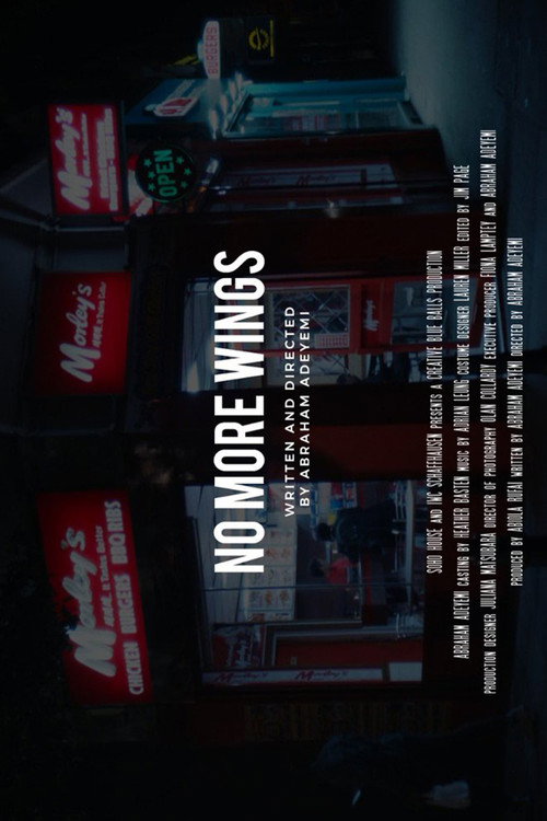 No More Wings — постер